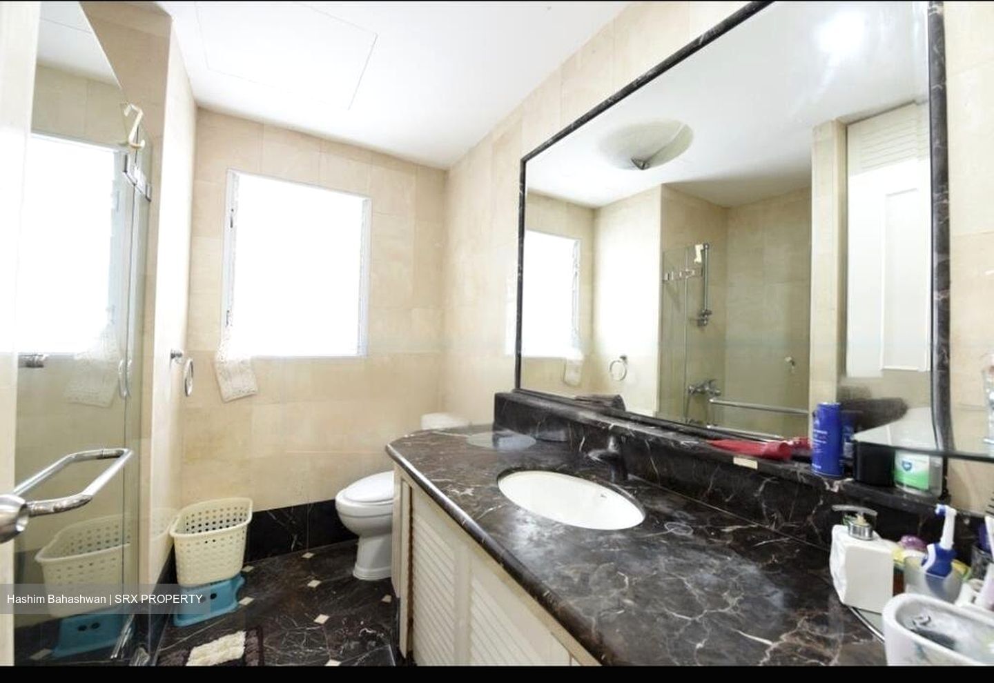 Regency Park (D10), Condominium #591904321